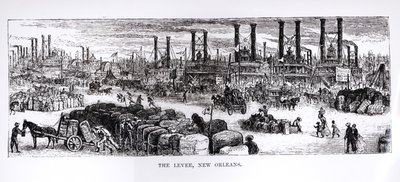 The Levee, New Orleans by American School